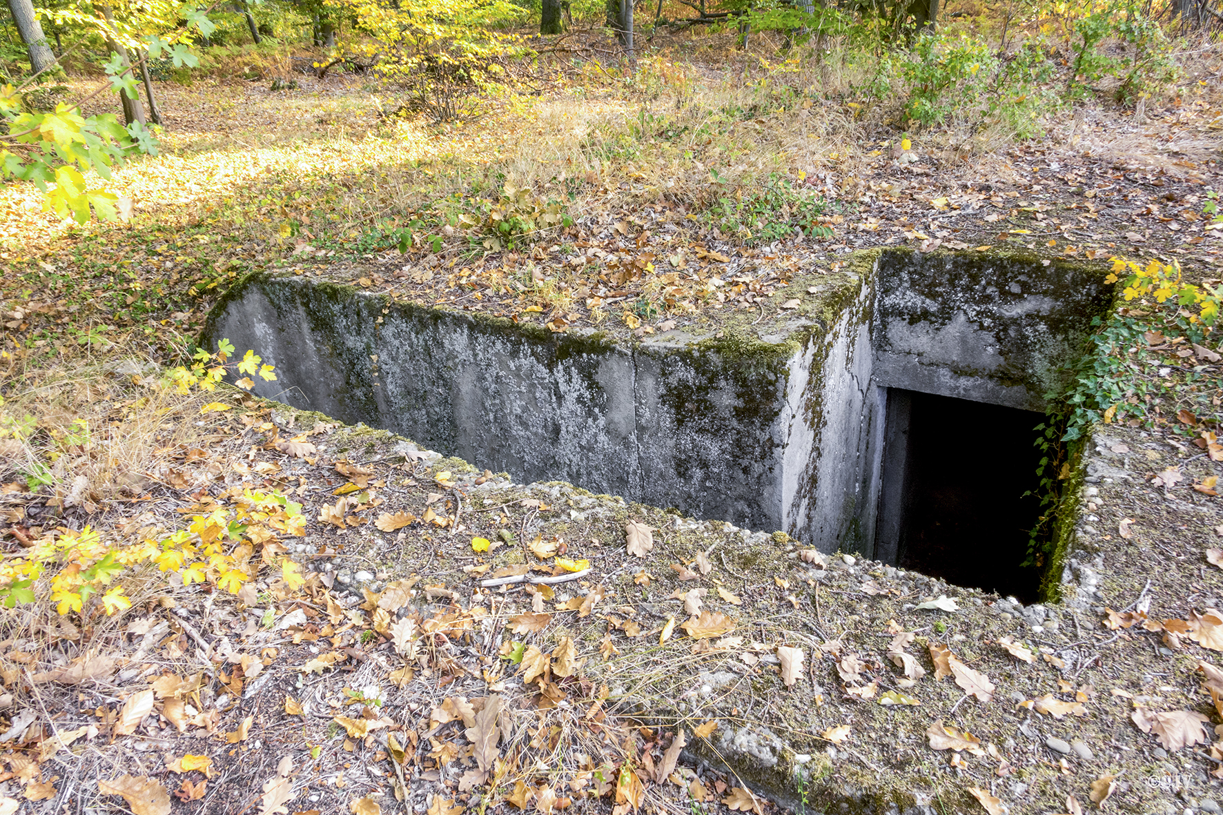 Ligne Maginot - HUNDSAU - (Blockhaus pour arme infanterie) -  - Lia VERMEULEN