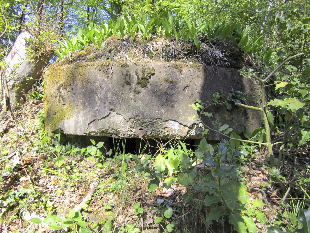 Ligne Maginot - KLOSTERGRABEN 5 - (Blockhaus pour arme infanterie) - La coupole et ...cueillette de muguet ! - gregfuchs