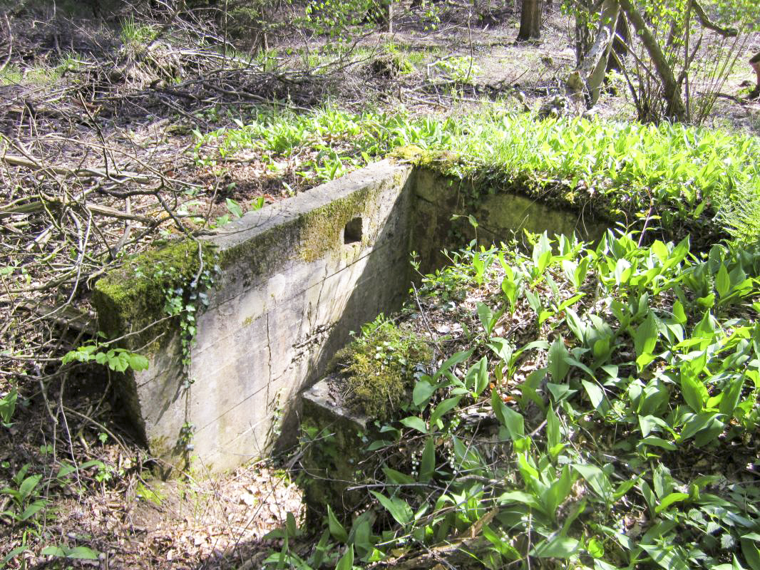 Ligne Maginot - KLOSTERGRABEN 5 - (Blockhaus pour arme infanterie) - L'accès bétonné et le créneau - gregfuchs