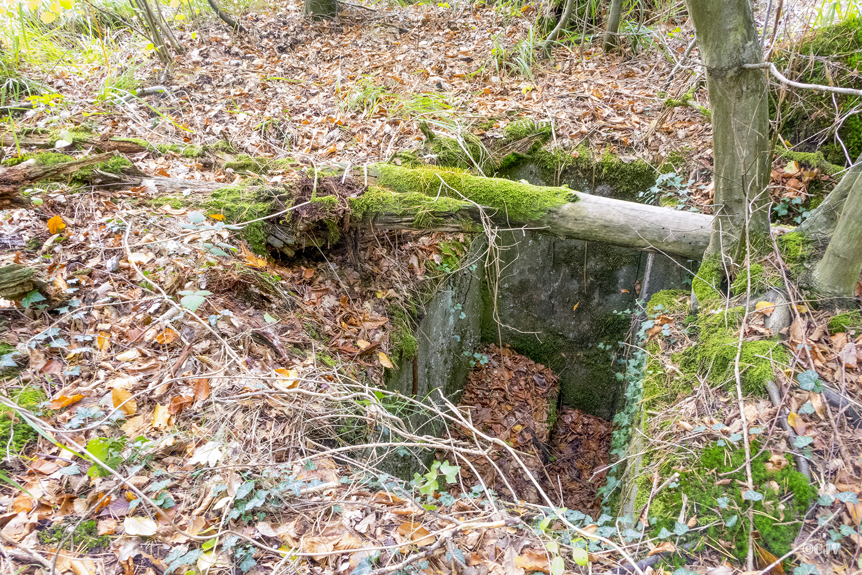 Ligne Maginot - KLOSTERGRABEN 6 (Cuve pour arme d'infanterie) -  - Lia VERMEULEN
