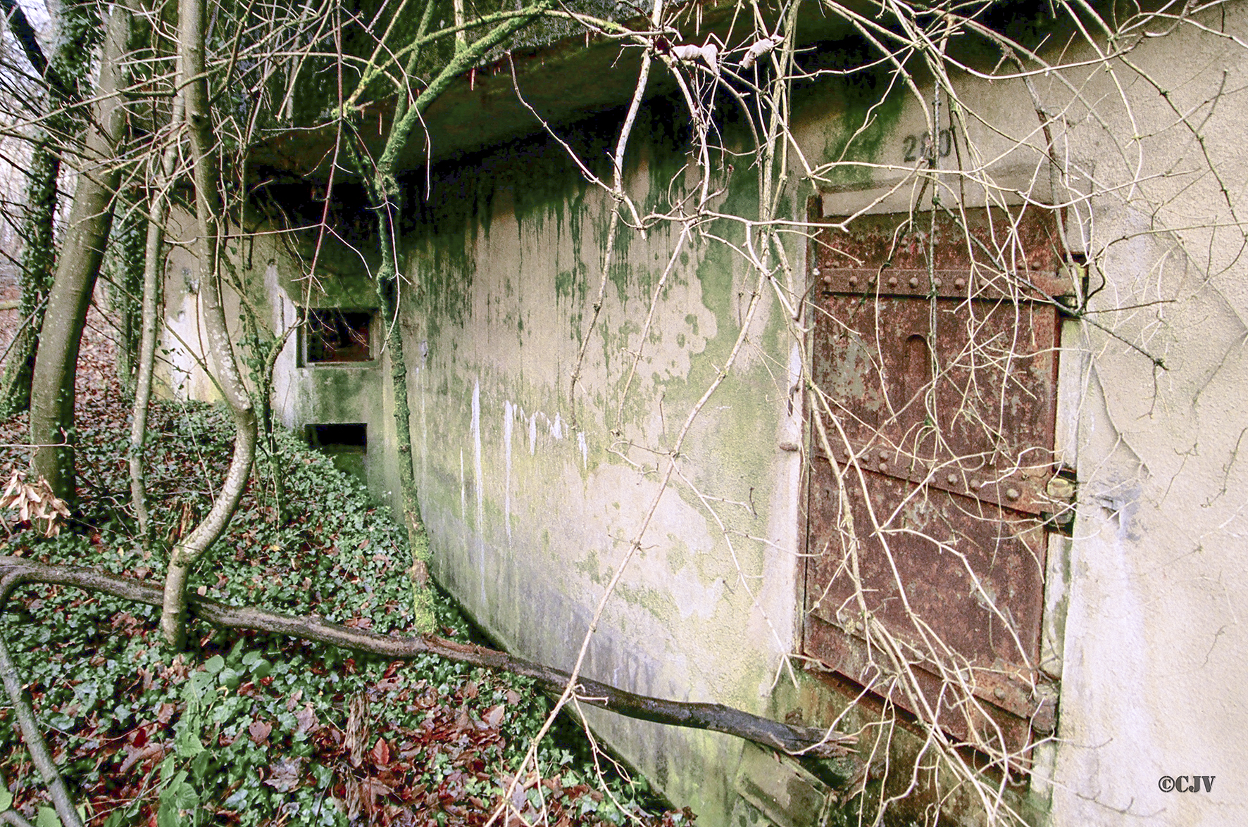 Ligne Maginot - KOENIGSBRUCK - (Abri) -  - Caspar Vermeulen