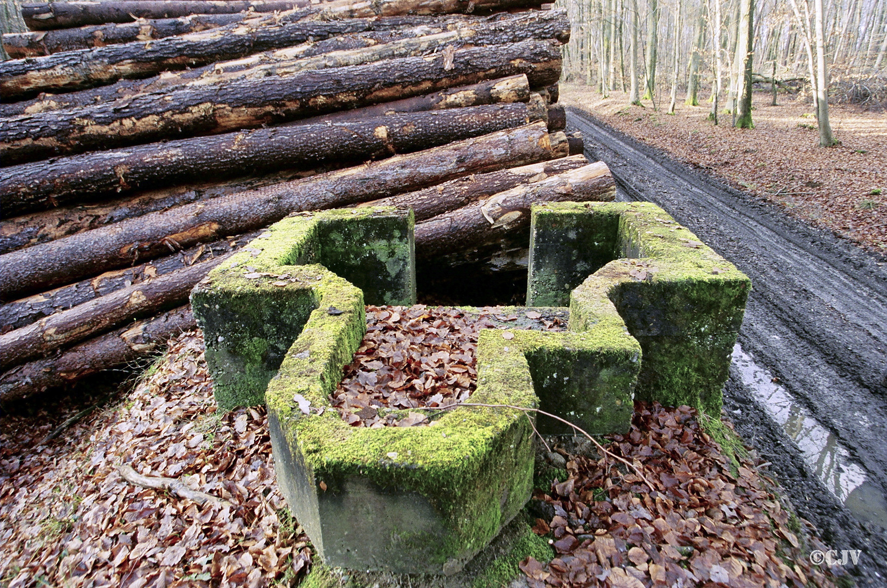 Ligne Maginot - Emplacement de Koenigsbruck 1 -  - Caspar Vermeulen