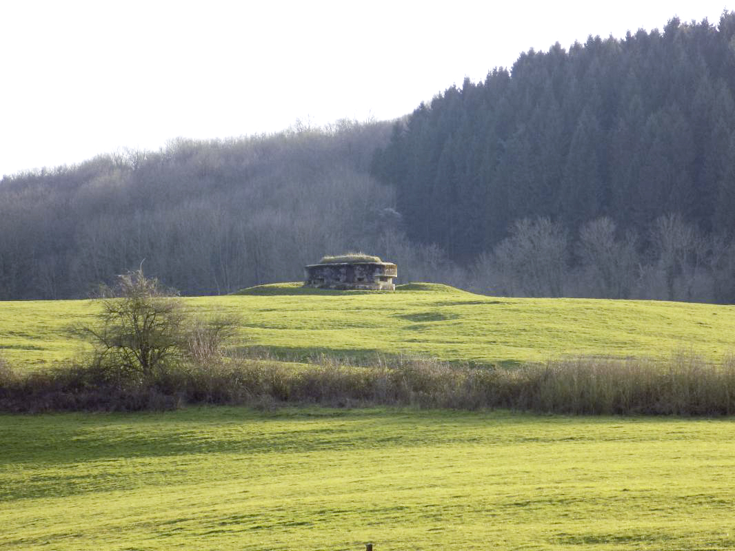Ligne Maginot - J - GRAND PAQUIS SUD - (Blockhaus pour canon) - Pris de Bb129-D - R Tucker