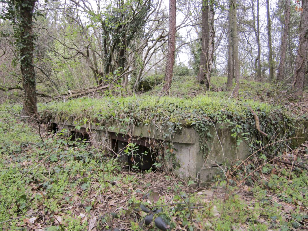 Ligne Maginot - KOENIGSBRUCK NORD - (Casemate d'infanterie) - Niches - gregfuchs