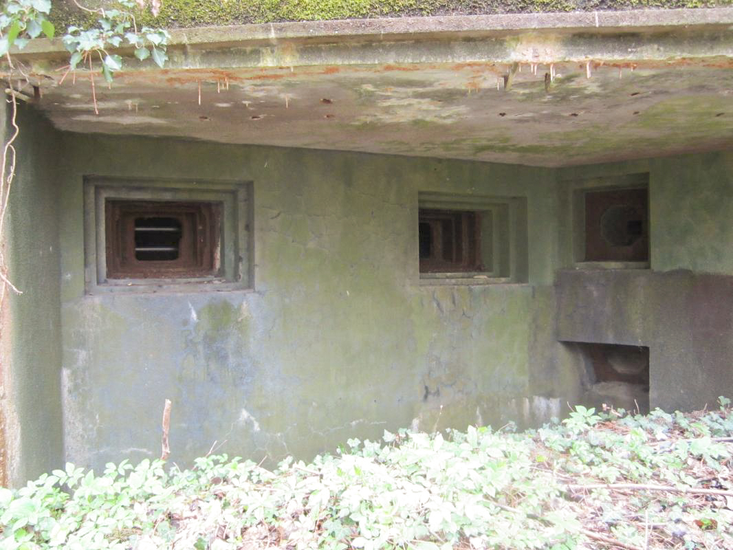 Ligne Maginot - KOENIGSBRUCK SUD - (Casemate d'infanterie) - Les créneaux de la chambre de tir - gregfuchs