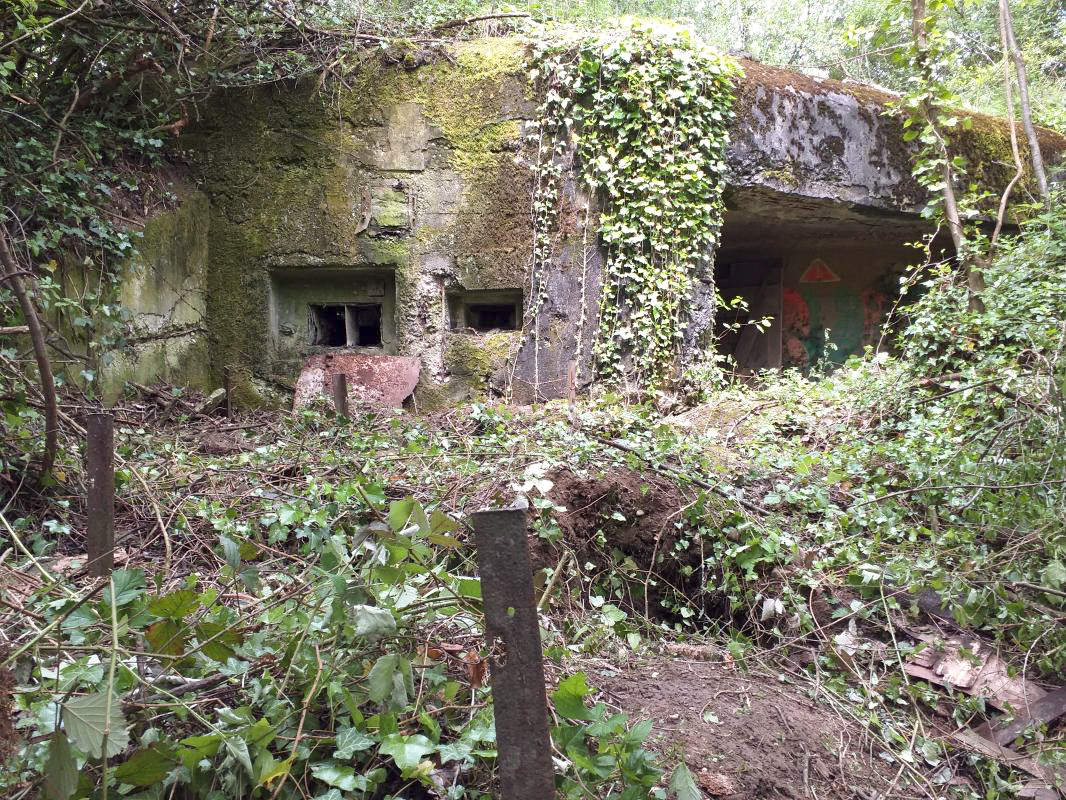 Ligne Maginot - KUBELMUEHLE 1 (AVANT POSTE) - (Blockhaus pour canon) - Vue générale de l'entrée - gregfuchs