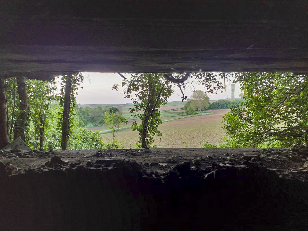 Ligne Maginot - KUBELMUEHLE 1 (AVANT POSTE) - (Blockhaus pour canon) - Vue depuis le créneau AC 47 vers le D34 - gregfuchs