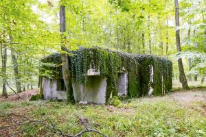Ligne Maginot - SELTZBACH 3 (Blockhaus pour arme infanterie) - 