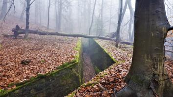 Ligne Maginot - HOCHWALD C7 - (Casemate d'infanterie) - La tranchée maçonnée menant à la casemate