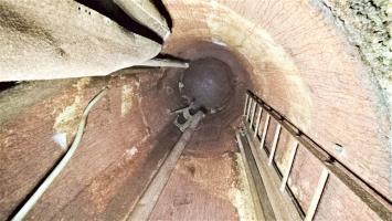Ligne Maginot - HOCHWALD C9 - (Casemate d'infanterie) - Etage supérieur
Cloche jumelage de mitrailleuses MAC 31