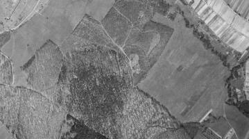 Ligne Maginot - Les deux casemates sur une photo IGN du 16/04/1951 - Les deux casemates sur une photo IGN