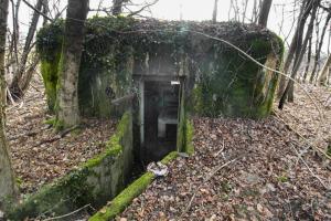 Ligne Maginot - RAMELSHAUSEN 4 (Blockhaus pour arme infanterie) - Vue générale