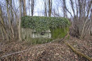 Ligne Maginot - RAMELSHAUSEN 4 (Blockhaus pour arme infanterie) - 