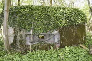 Ligne Maginot - RAMELSHAUSEN 4 (Blockhaus pour arme infanterie) - Le créneau mitrailleuse