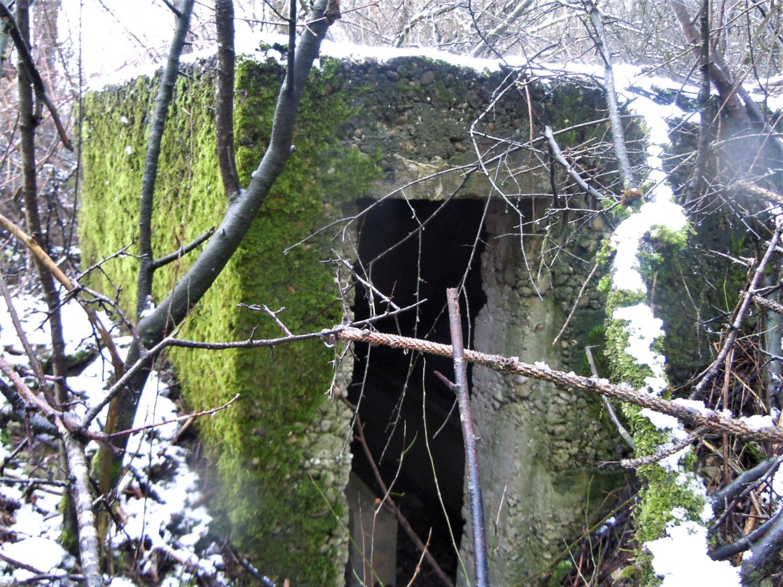 Ligne Maginot - DORFBRUNNEN NORD - (Blockhaus pour arme infanterie) -  - Jean-Marie Bach