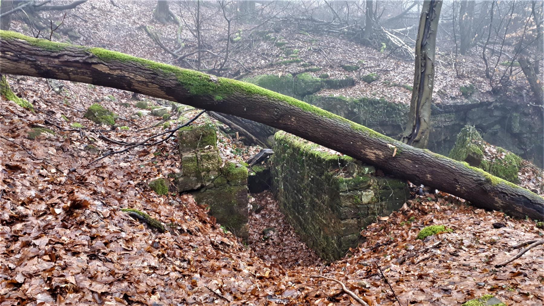 Ligne Maginot - HOCHWALD C8 - (Casemate d'infanterie) - Une tranchée maçonnée menant à l'entrée de la casemate - Gregory Fuchs