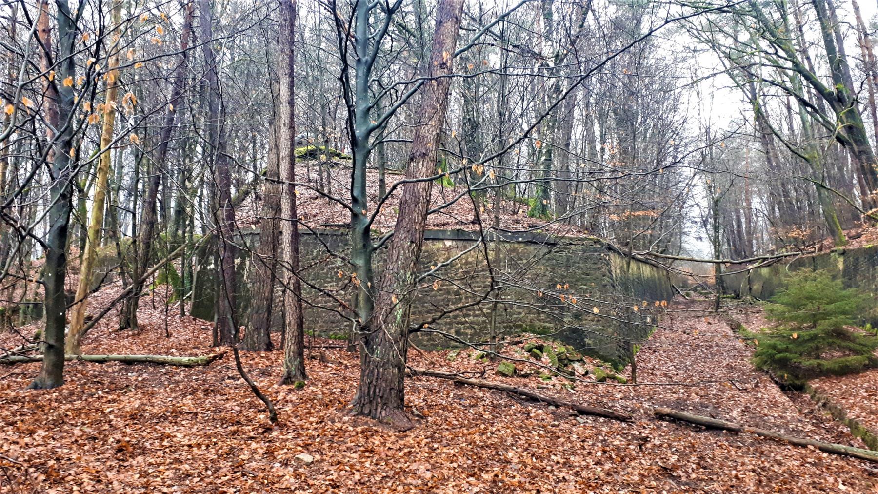 Ligne Maginot - HOCHWALD C6 - (Casemate d'infanterie) - Le mur d'escarpe entre la casemate C6 et l'extrémité du fossé de la casemate C5 - Gregory Fuchs