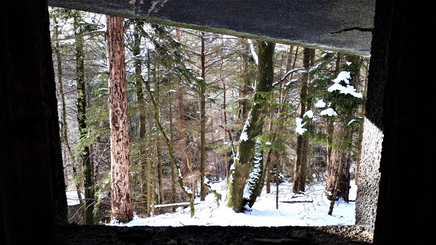 Ligne Maginot - HOCHWALD C3 - (Casemate d'infanterie - double) - Chambre de tir haute, vue depuis le créneau JM - Gregory Fuchs