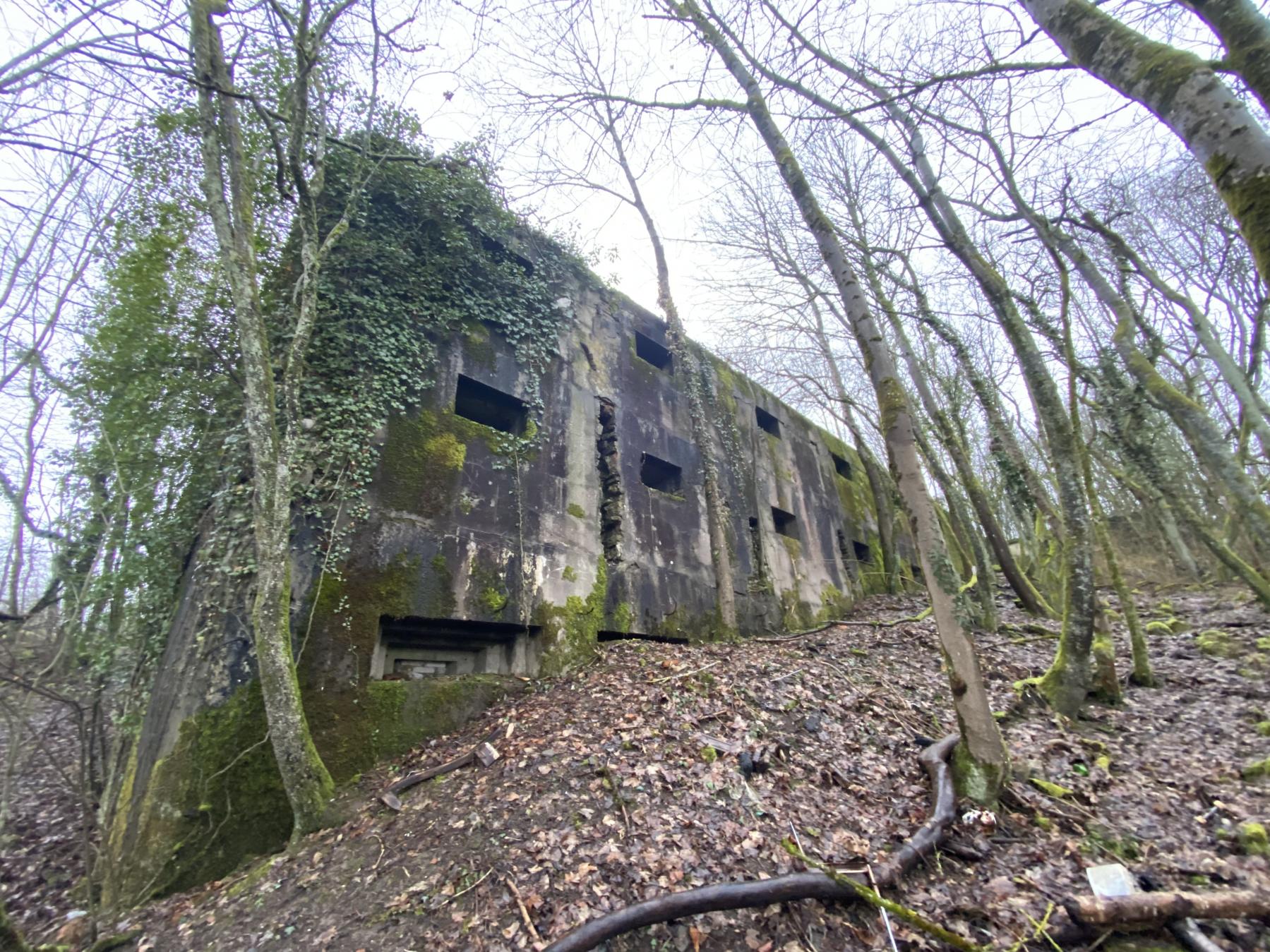 Ligne Maginot - ROHRBACH - (Stand de tir) -  - STEINER Jérémy