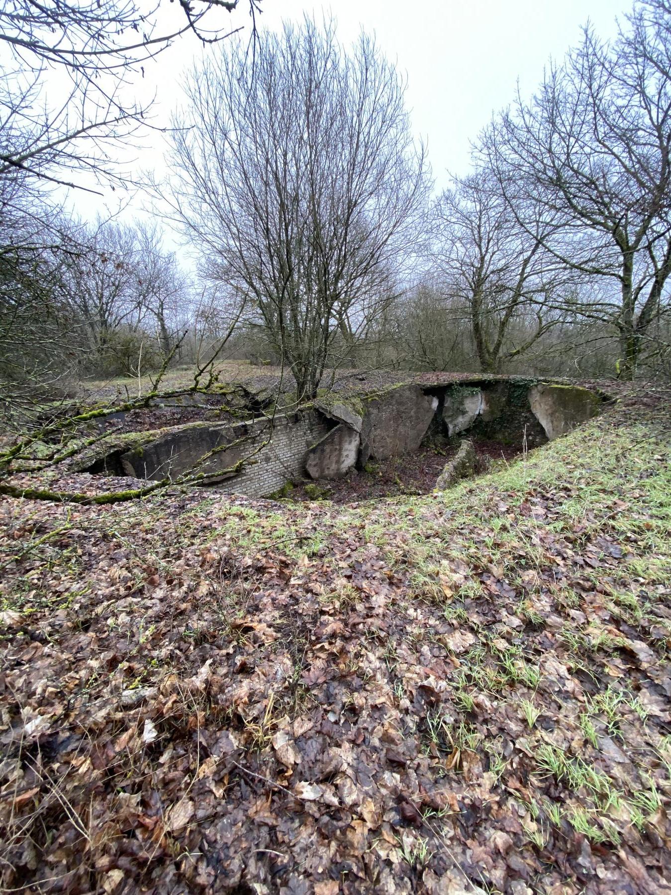 Ligne Maginot - ROHRBACH - (Camp de sureté) -  - STEINER Jérémy