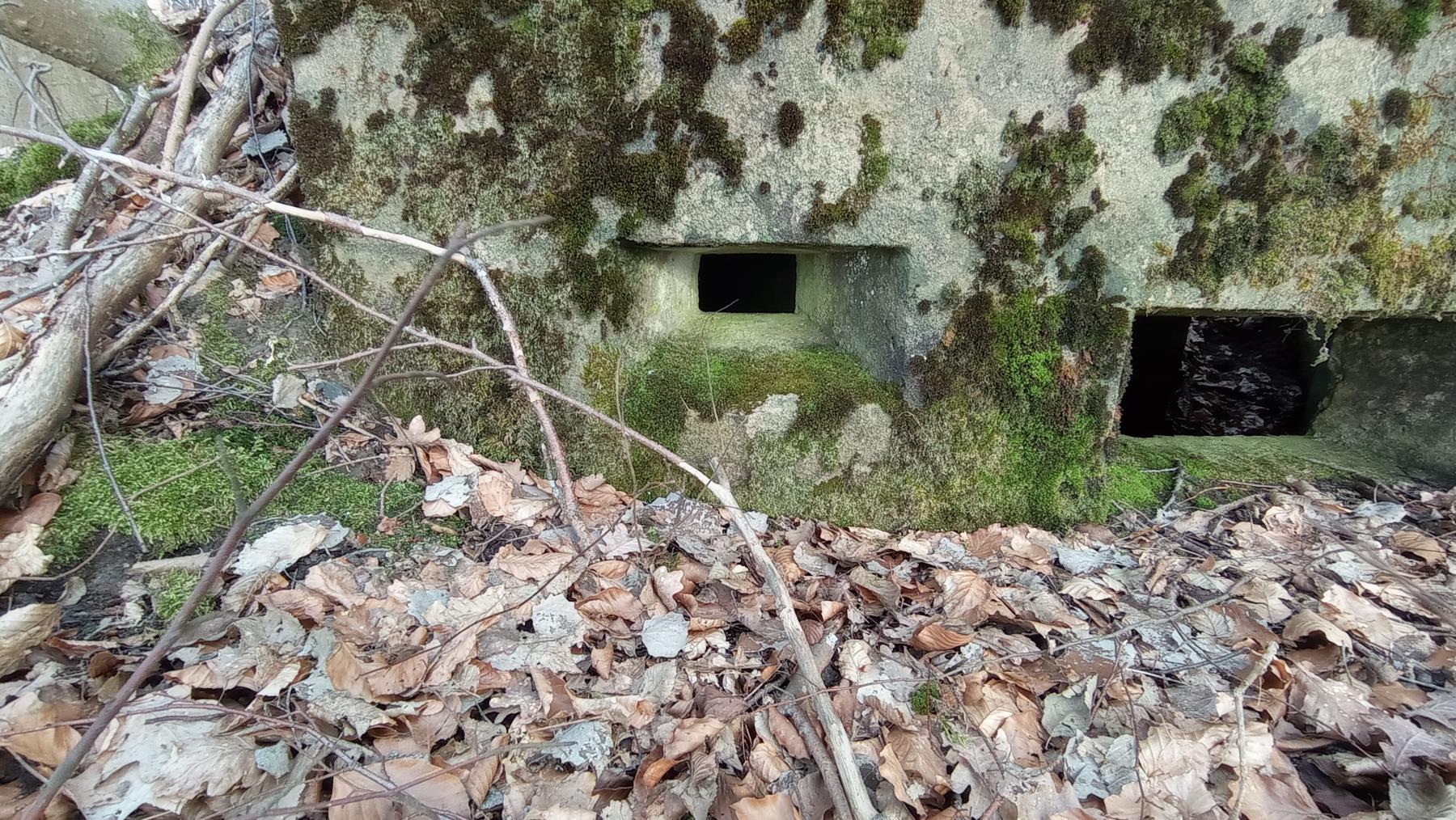 Ligne Maginot - HOCHWALD OUEST 5 - (Blockhaus pour arme infanterie) - A gauche créneau d'observation, à droite créneau de tir - Baptiste Gaudin