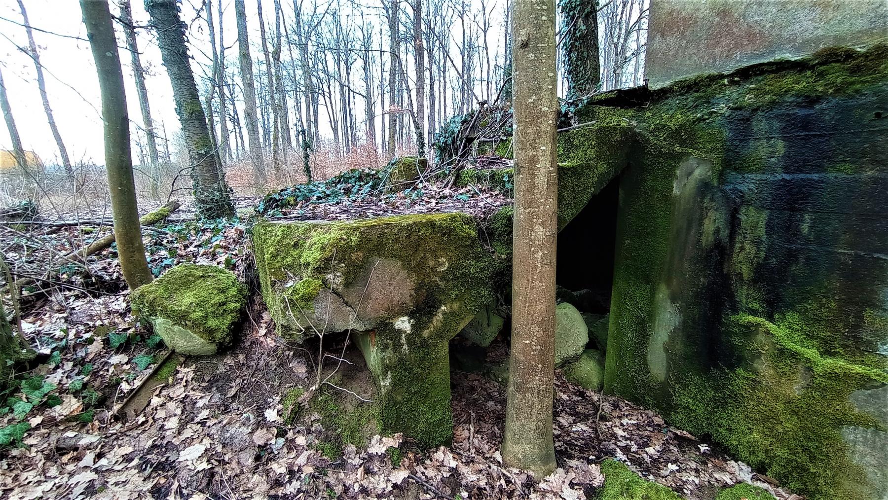Ligne Maginot - LOBSANN - (Dépôt de Munitions) - Accès au dessous du palier de l'entrée  - Baptiste Gaudin