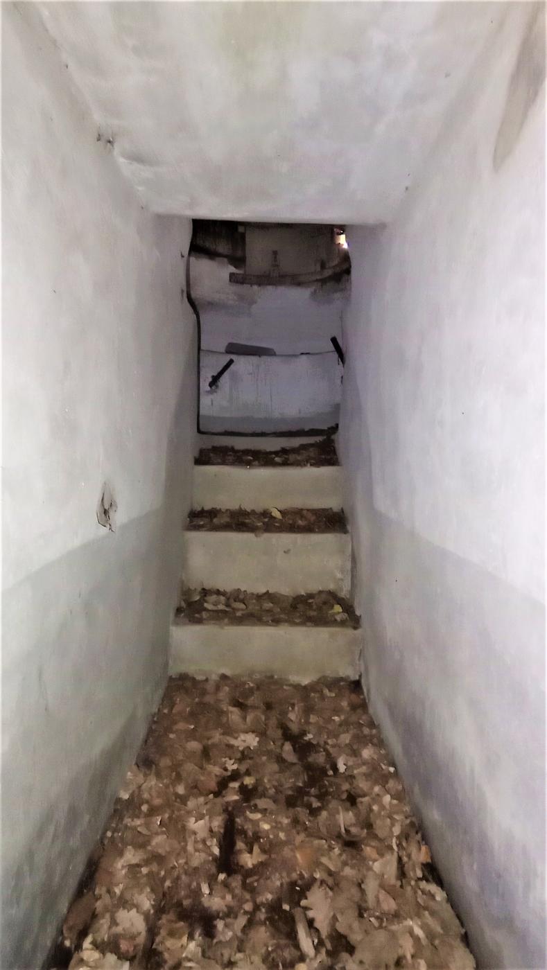 Ligne Maginot - CHENAIE 1 - (Blockhaus pour arme infanterie) -  - Baptiste Gaudin