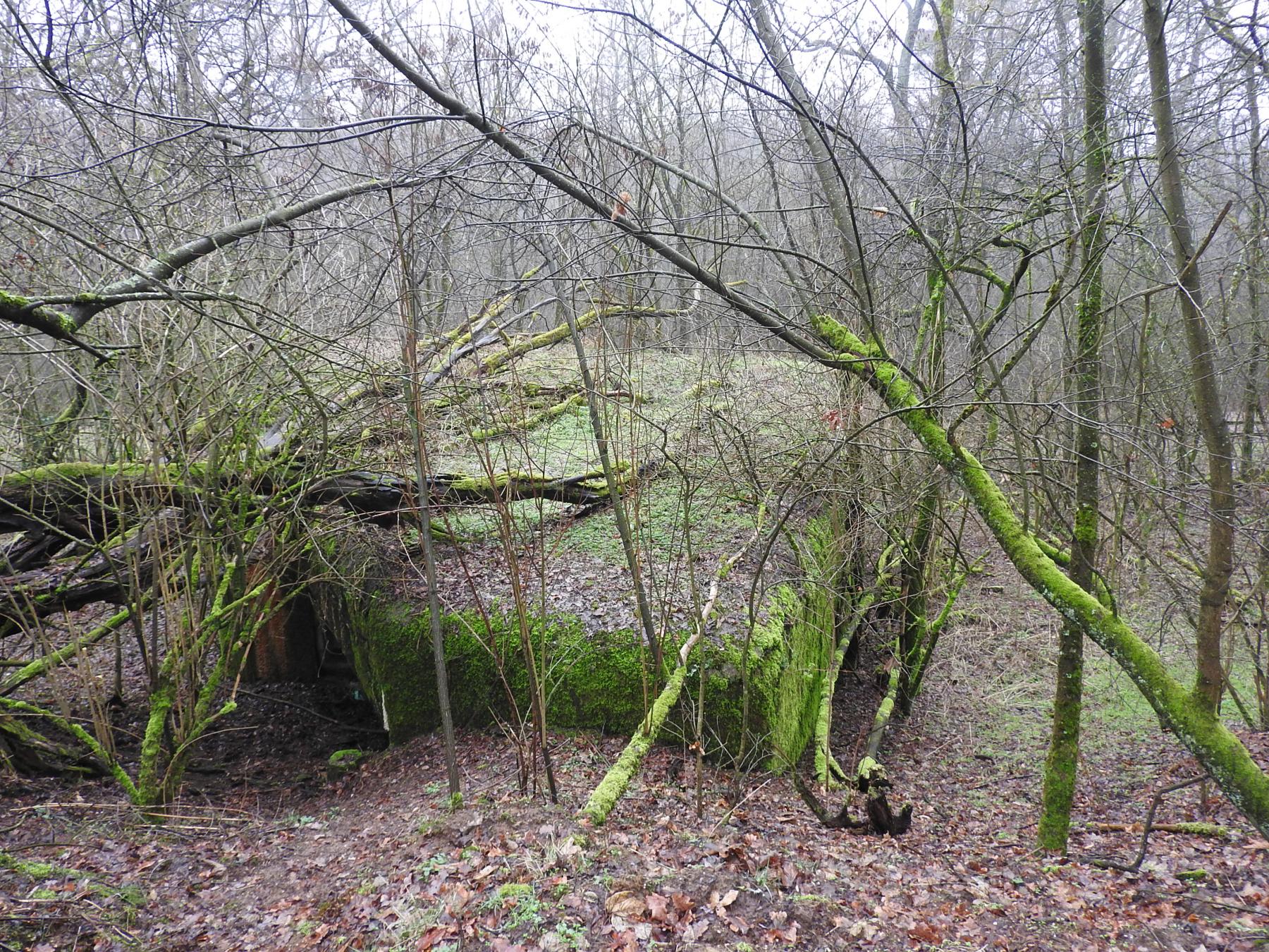 Ligne Maginot - HOLZMISS - (Blockhaus lourd type STG / STG-FCR - Simple) - La casemate STG avec la voie ferrée au fond - STENGER Mathieu