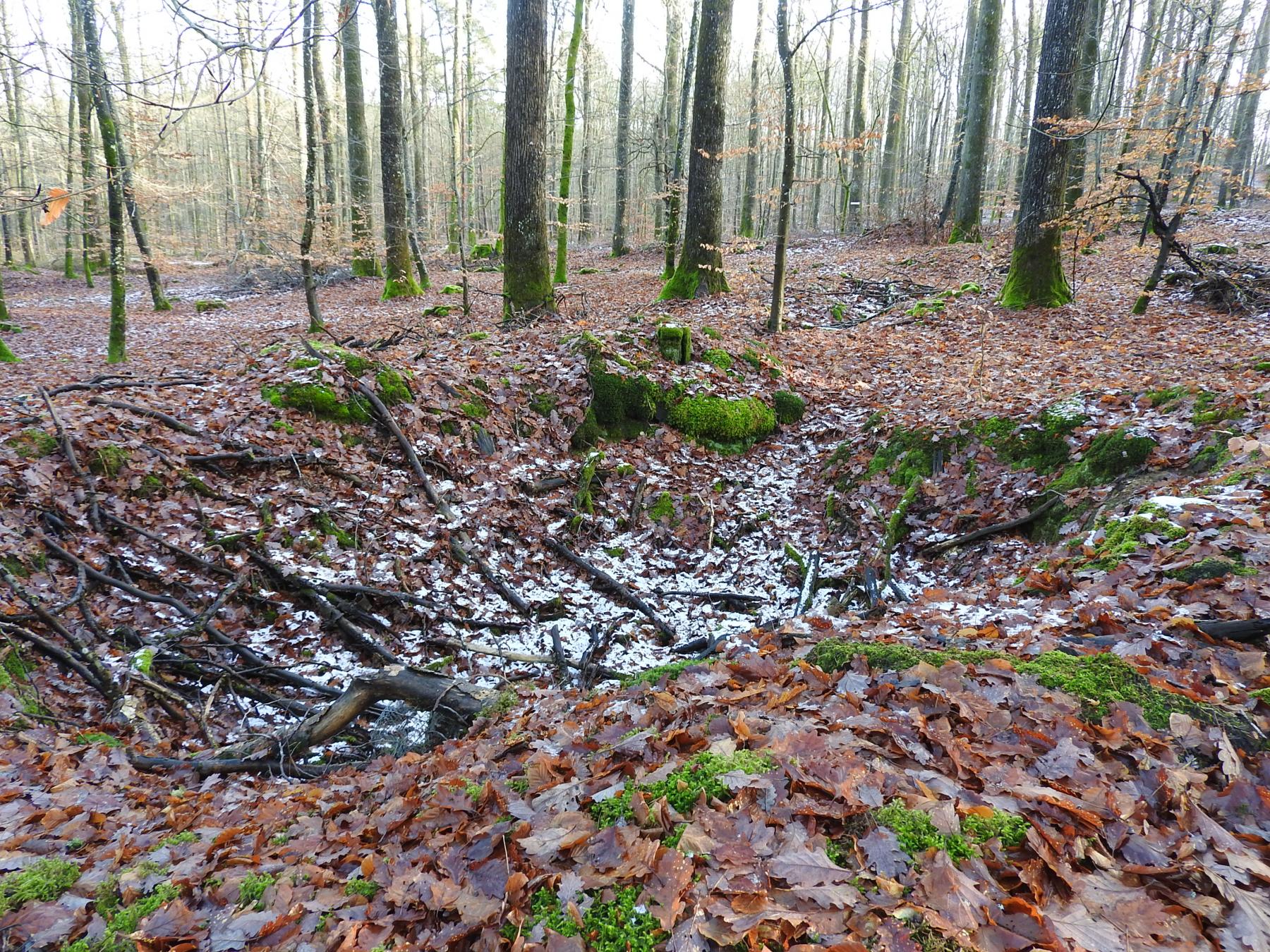 Ligne Maginot - PFAFFENBERG - (PC de Quartier) - L'emplacement d'une cagna - STENGER Mathieu