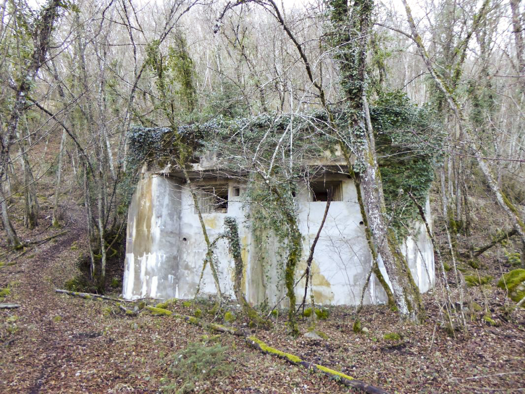 Ligne Maginot - E5 - LE SUQUET - (Casemate d'infanterie - Simple) -  - ELLENA - CUNY