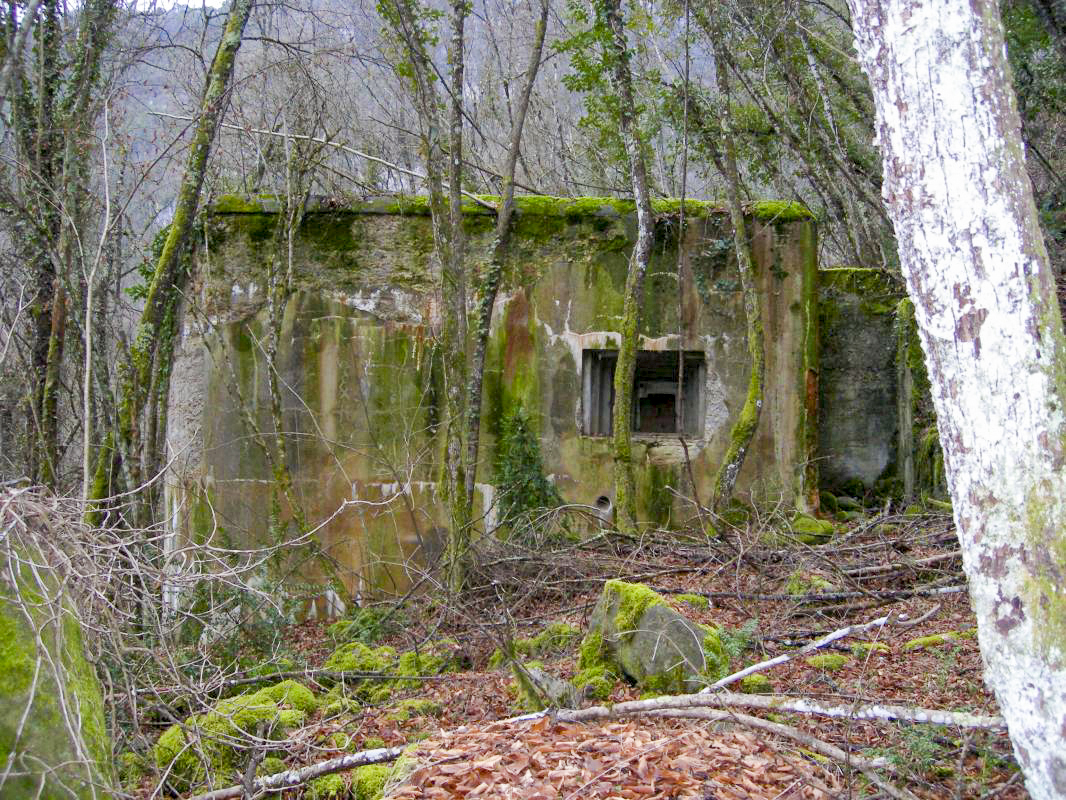 Ligne Maginot - E5 - LE SUQUET - (Casemate d'infanterie - Simple) -  - ELLENA-CUNY