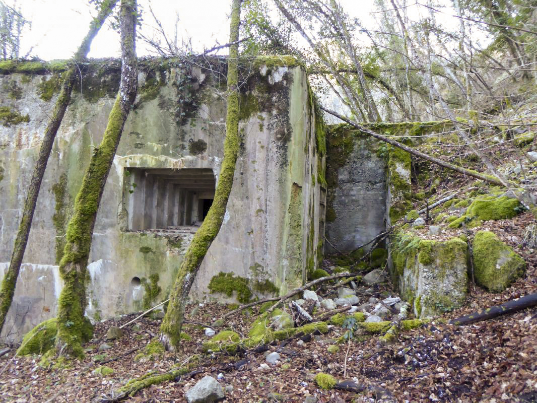 Ligne Maginot - E5 - LE SUQUET - (Casemate d'infanterie - Simple) -  - ELLENA - CUNY