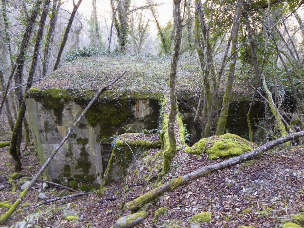 Ligne Maginot - E5 - LE SUQUET - (Casemate d'infanterie - Simple) -  - ELLENA - CUNY
