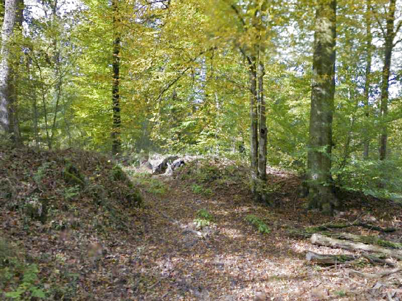 Ligne Maginot - MAISON FORESTIERE de l'EBERBACH 2 (Cuve pour arme d'infanterie) -  - Google Streetview