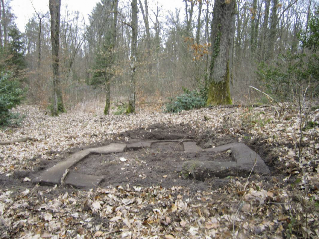 Ligne Maginot - MAISON FORESTIERE de l'EBERBACH 2 (Cuve pour arme d'infanterie) -  - gregfuchs