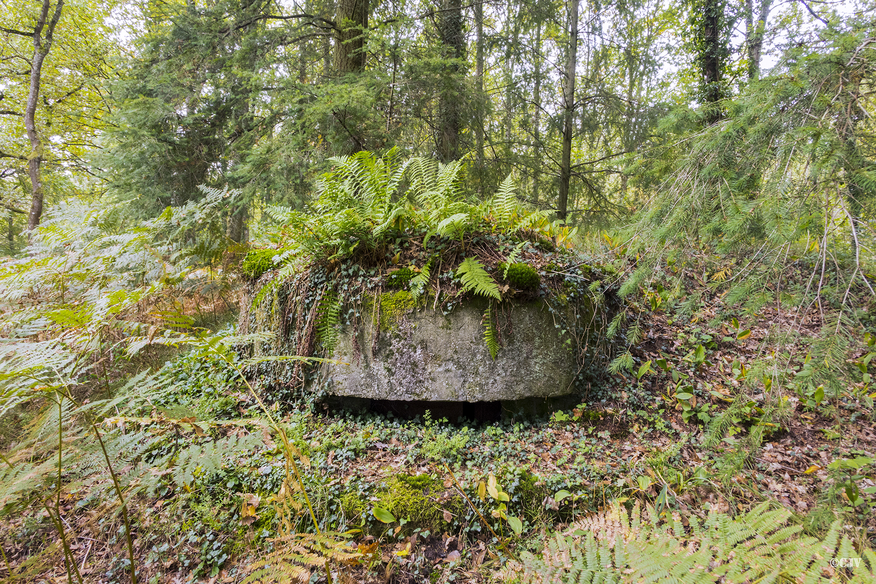 Ligne Maginot - MITTELWEG 1 (Blockhaus pour arme infanterie) -  - Lia VERMEULEN