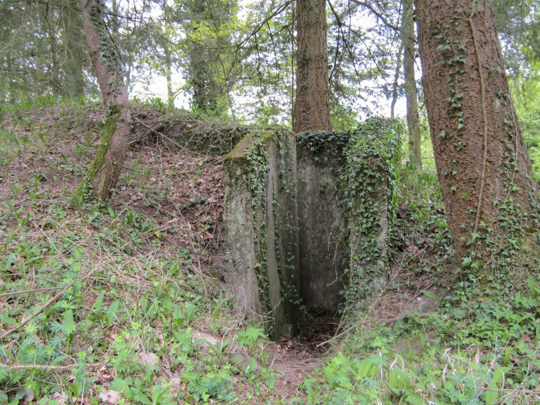 Ligne Maginot - MITTELWEG 1 - (Blockhaus pour arme infanterie) - L'accès bétonné à l'entrée - gregfuchs
