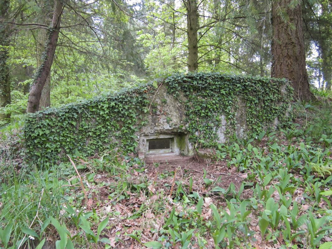 Ligne Maginot - MITTELWEG 1 - (Blockhaus pour arme infanterie) - Créneau dans le mur droit de l'accès bétonné à l'entrée - gregfuchs