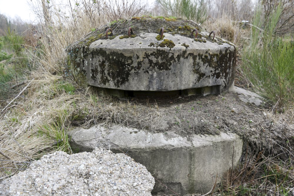 Ligne Maginot - MITTELWEG 2 - (Blockhaus pour arme infanterie) -  - Alain Perouffe
