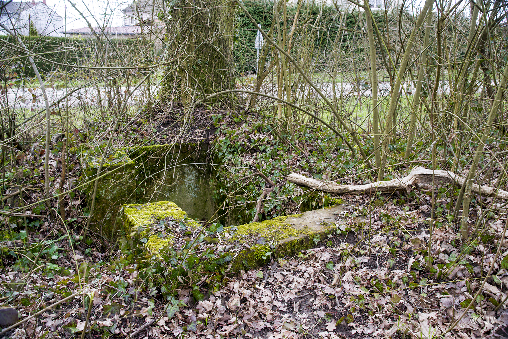 Ligne Maginot - NIEDERBETSCHDORF 1 (Cuve pour arme d'infanterie) -  - Lia VERMEULEN