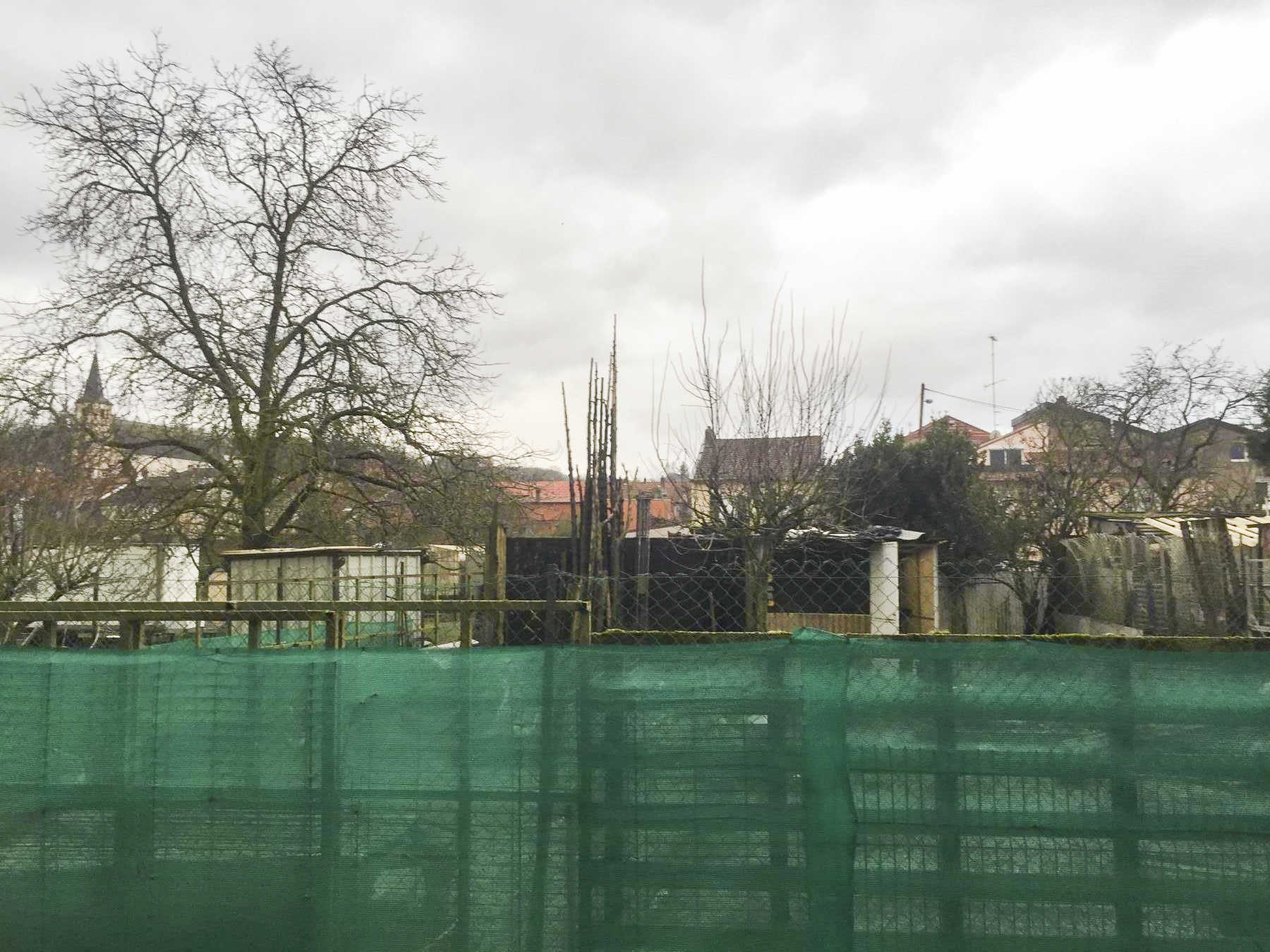 Ligne Maginot - CB115 - BIDESFELD 2 - (Blockhaus pour canon) - Le blockhaus en 2021 - Louis Zenner