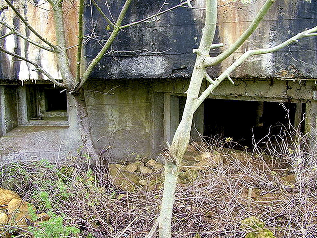 Ligne Maginot - MB51 - (Blockhaus lourd type STG / STG-FCR - Simple) -  - Sylvie Laure LAMBERT