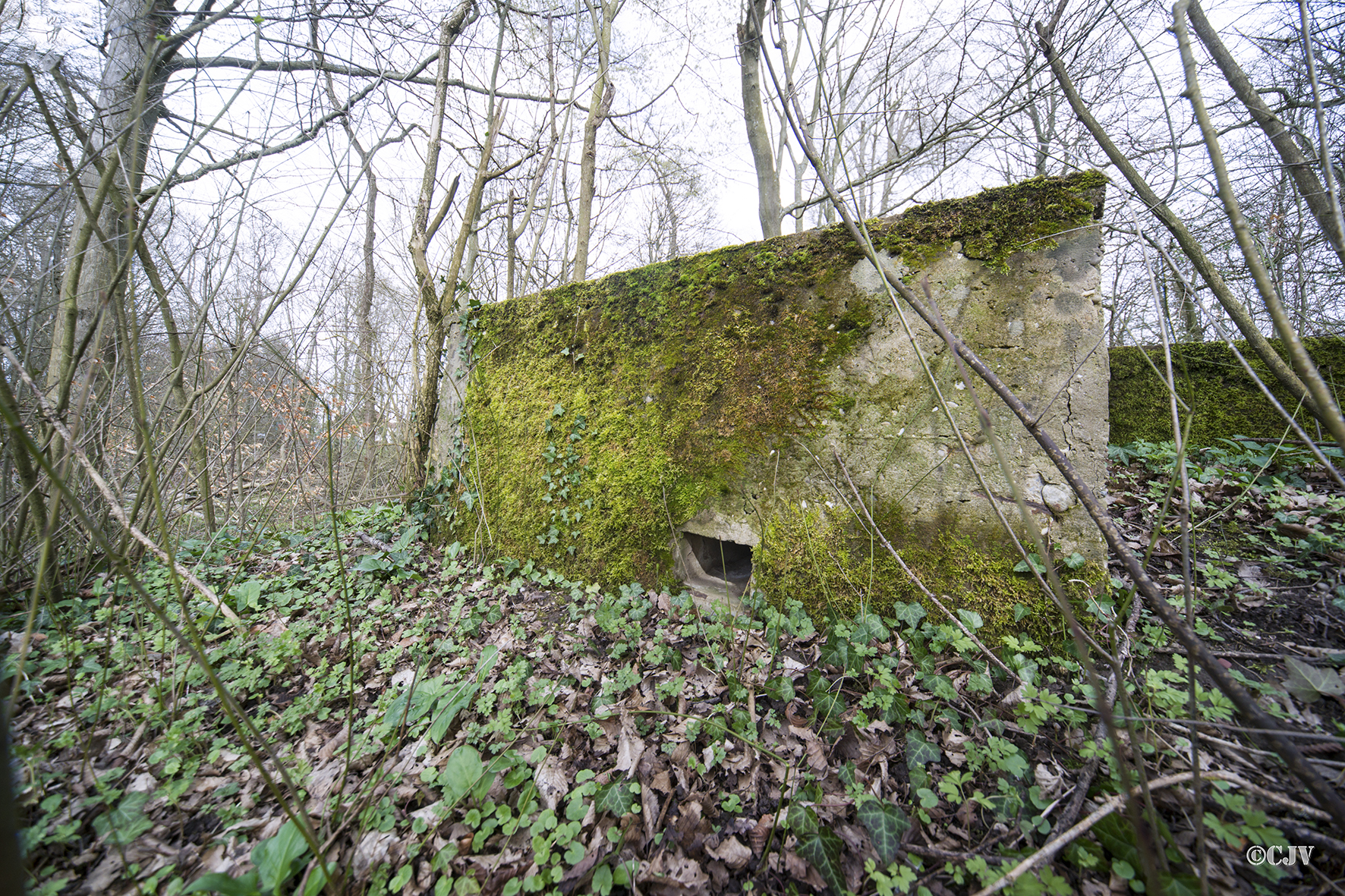 Ligne Maginot - NIEDERBETSCHDORF 3 (Blockhaus pour arme infanterie) -  - Lia VERMEULEN
