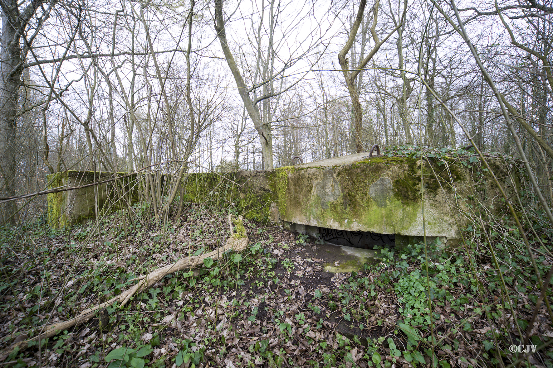 Ligne Maginot - NIEDERBETSCHDORF 3 (Blockhaus pour arme infanterie) -  - Lia VERMEULEN