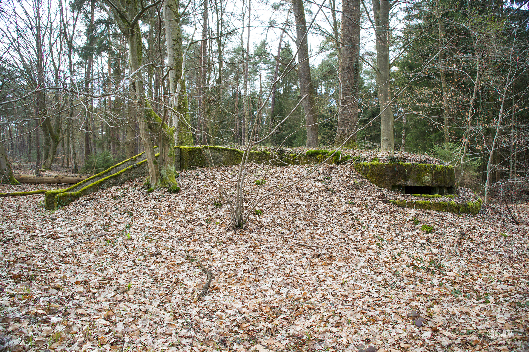 Ligne Maginot - RENDEZ VOUS de CHASSE 1 (Blockhaus pour arme infanterie) -  - Lia VERMEULEN