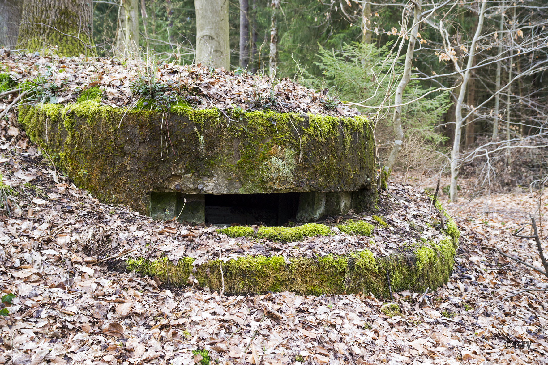 Ligne Maginot - RENDEZ VOUS de CHASSE 1 (Blockhaus pour arme infanterie) -  - Lia VERMEULEN