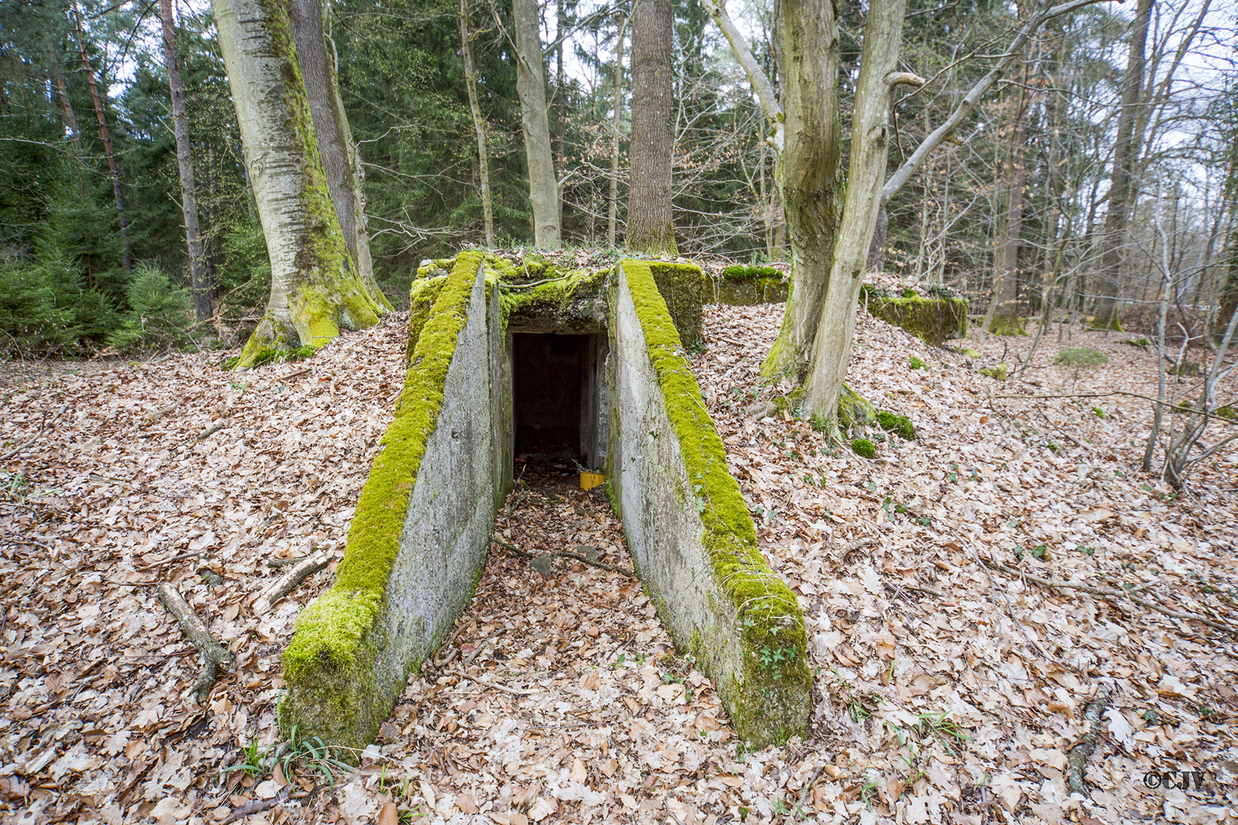 Ligne Maginot - RENDEZ VOUS de CHASSE 1 (Blockhaus pour arme infanterie) -  - Lia VERMEULEN