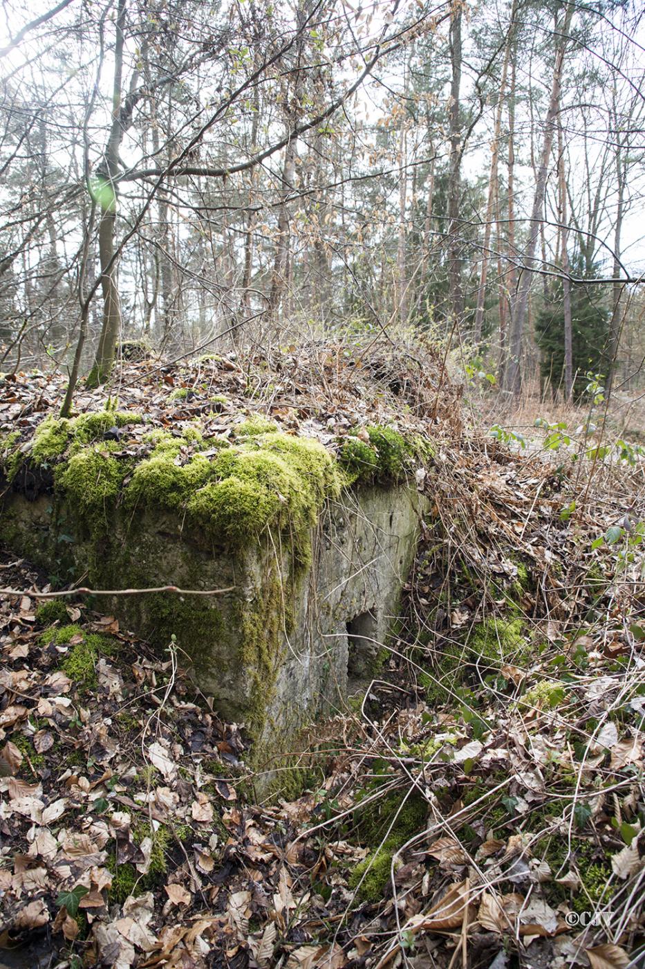 Ligne Maginot - RENDEZ VOUS de CHASSE 2 (Blockhaus pour arme infanterie) -  - Lia VERMEULEN