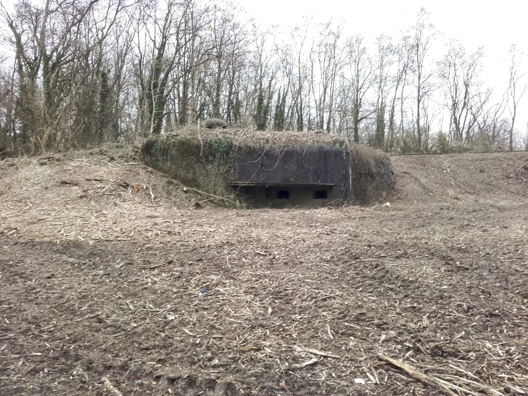 Ligne Maginot - ROUNTZENHEIM NORD - (Casemate d'infanterie) -  - Martz yannick
