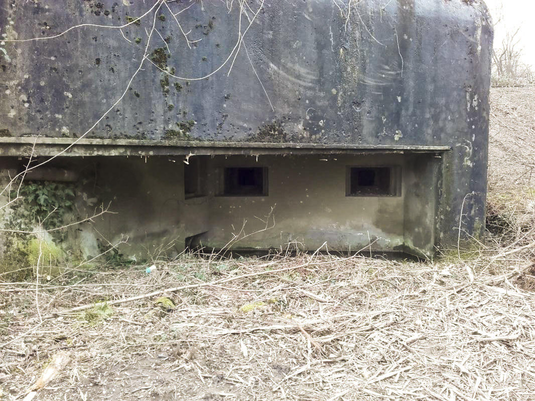 Ligne Maginot - ROUNTZENHEIM NORD - (Casemate d'infanterie) -  - Martz yannick